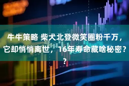 牛牛策略 柴犬北登微笑圈粉千万，它却悄悄离世，16年寿命藏啥秘密？