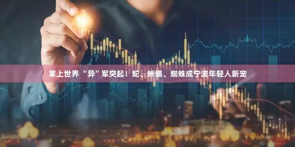 掌上世界 “异”军突起！蛇、蜥蜴、蜘蛛成宁波年轻人新宠