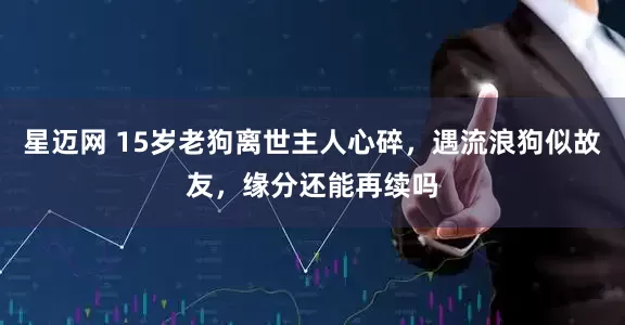 星迈网 15岁老狗离世主人心碎，遇流浪狗似故友，缘分还能再续吗
