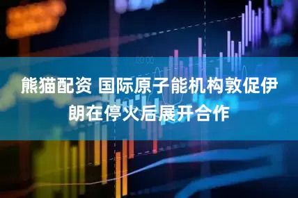 熊猫配资 国际原子能机构敦促伊朗在停火后展开合作