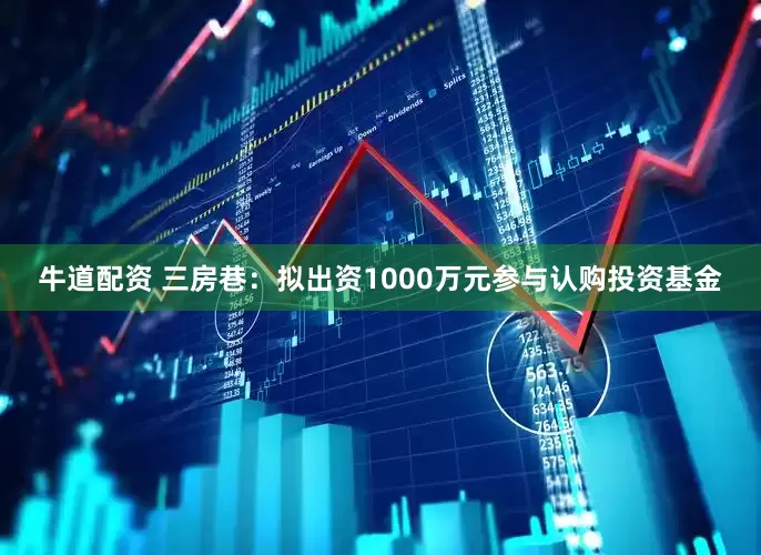 牛道配资 三房巷：拟出资1000万元参与认购投资基金