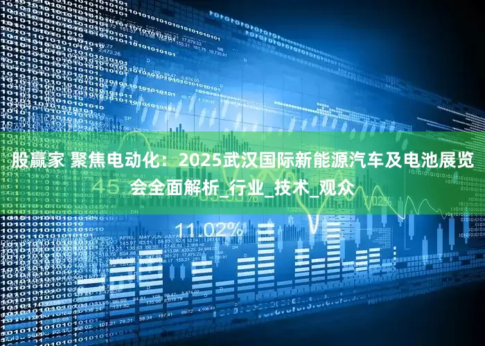 股赢家 聚焦电动化：2025武汉国际新能源汽车及电池展览会全面解析_行业_技术_观众