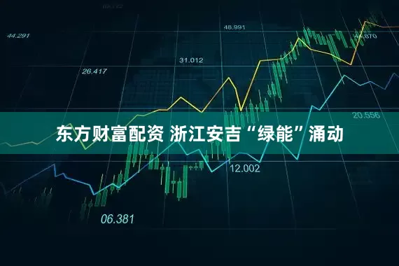 东方财富配资 浙江安吉“绿能”涌动