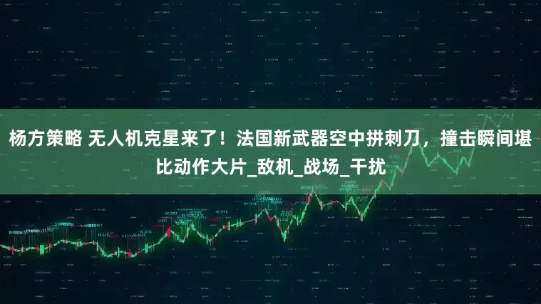 杨方策略 无人机克星来了！法国新武器空中拼刺刀，撞击瞬间堪比动作大片_敌机_战场_干扰